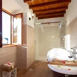 Araucaria House Country house Barreiros