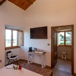 Araucaria House Country house