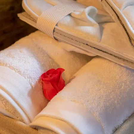 Araucaria House Casa de Campo Barreiros