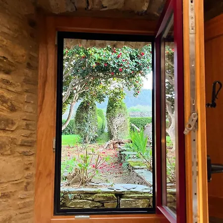 Araucaria House