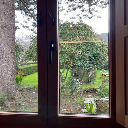 Araucaria House * Barreiros