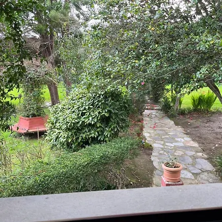 Araucaria House * Barreiros