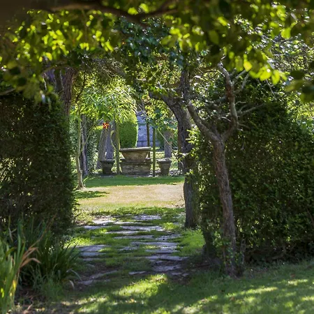 Araucaria House Barreiros