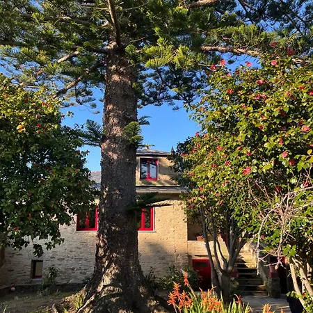Araucaria House Barreiros