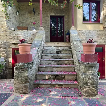 Araucaria House Country house Barreiros