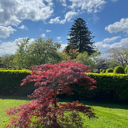 Country house Araucaria House *