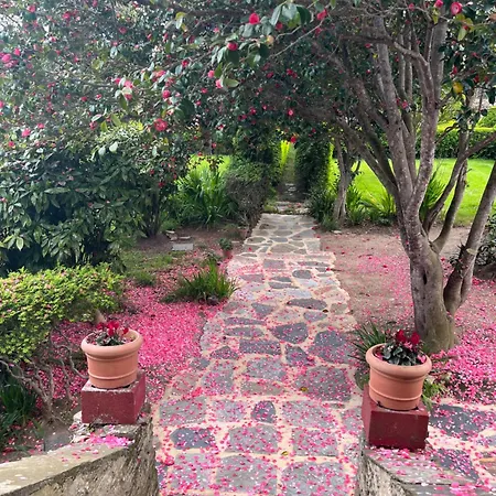 Country house Araucaria House *